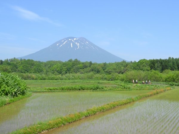 photo by そとあそび