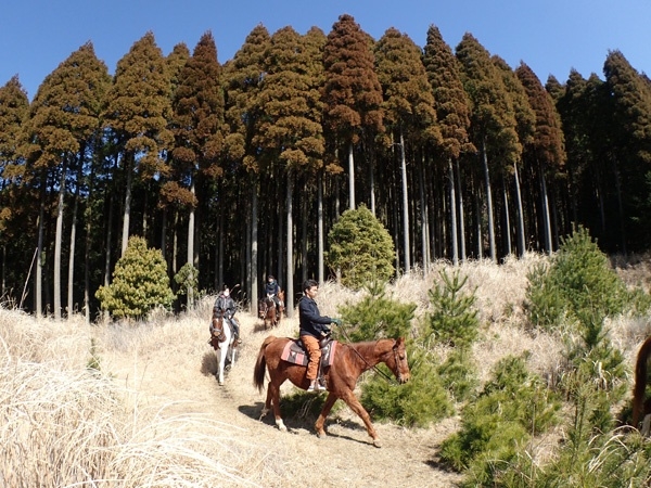 photo by そとあそび