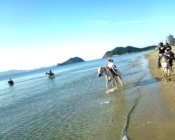 photo by そとあそび