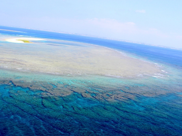 photo by 【那覇発/半日】 チービシ(ケラマ諸島)でパラセーリングと体験ダイビング、シュノーケリングを楽しむ!ウミガメコース(沖縄県・那覇)|そとあそび