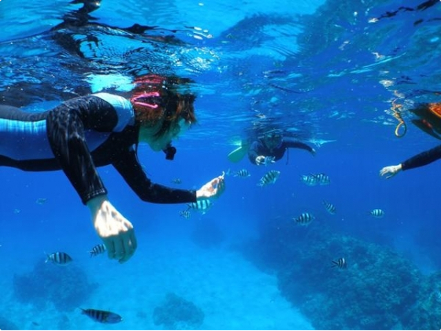 こんなに近くまで魚が寄ってきます!photo by そとあそび
