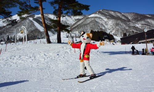photo by 白馬五竜スキー場