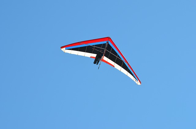 delta-flying-281699_640