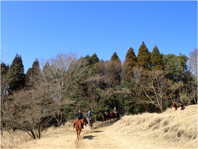 photo by そとあそび