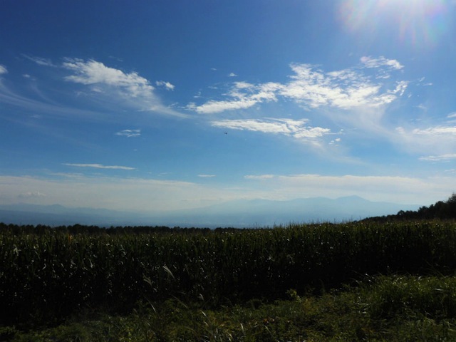 photo by そとあそび
