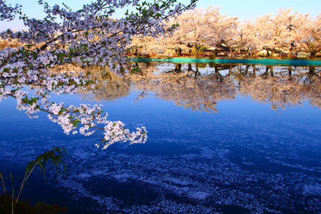 photo by 鈴木雅博