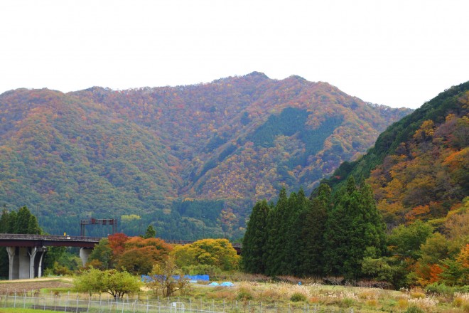 photo by PIXTA