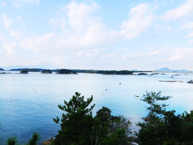 photo by Y's