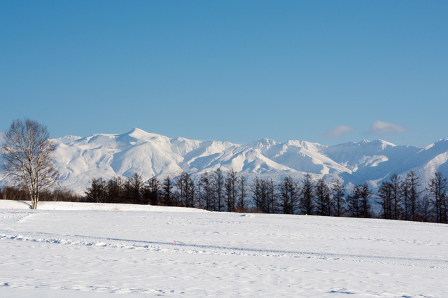 photo by kinpouge