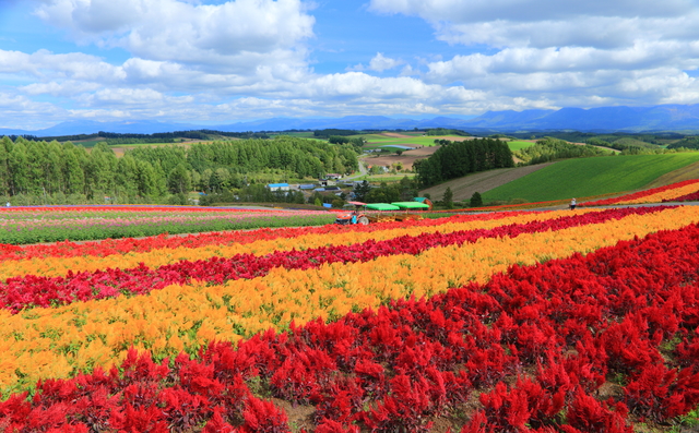 photo by kazukiatuko