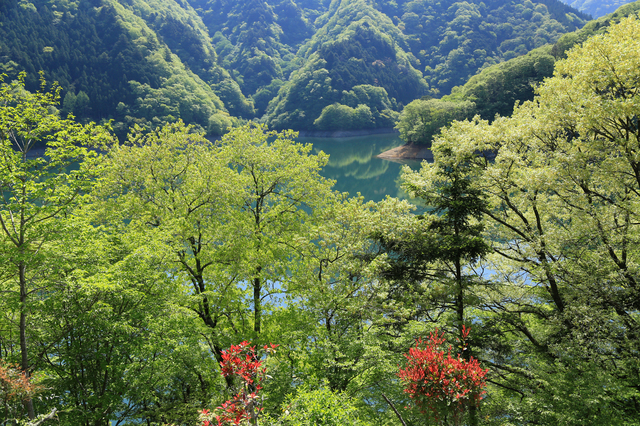 photo by JINS