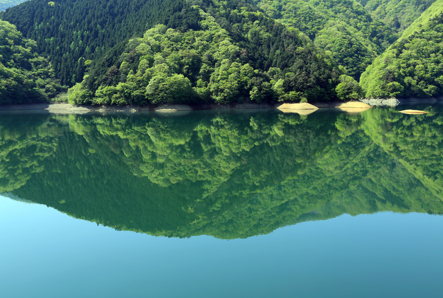 photo by JINS