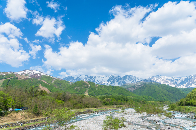 photo by まちゃー