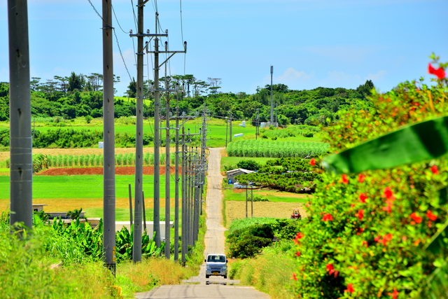 imasia_16641140_S