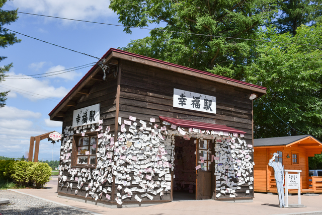 photo by kazu