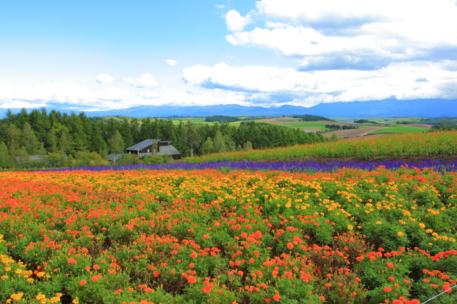 photo by kazukiatuko