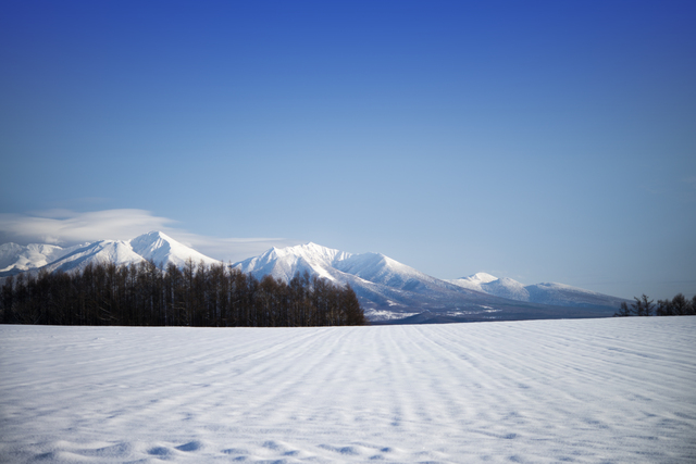 photo by Dachs