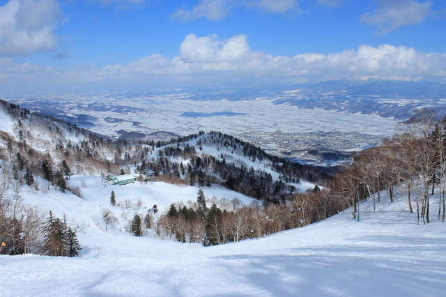 photo by M.F.S.
