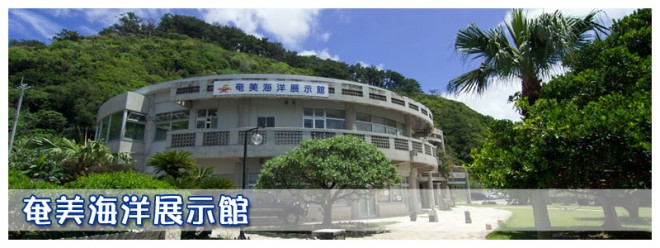 photo by 海洋展示館のご案内 | 奄美市大浜海浜公園