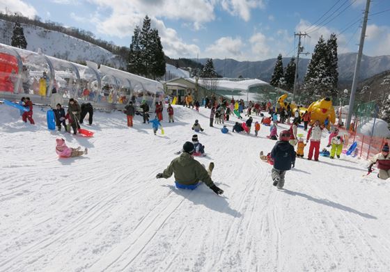 photo by 滋賀県奥伊吹スキー場公式HP