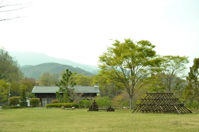 photo by 山梨県森林総合研究所