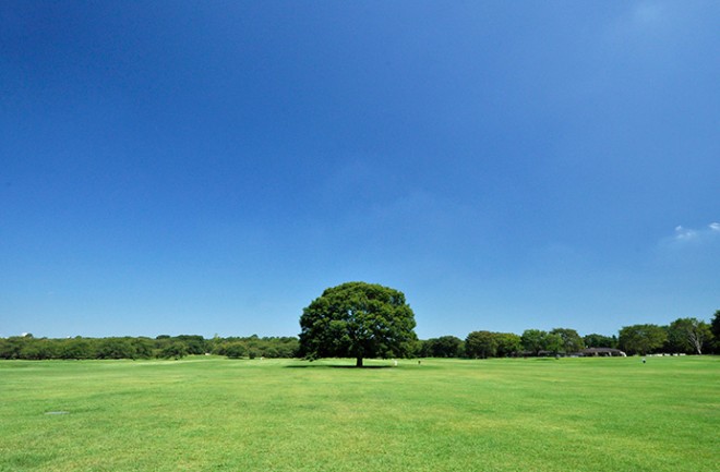 photo by 国営昭和記念公園
