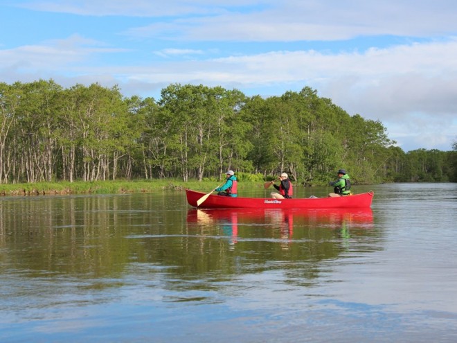 paddle