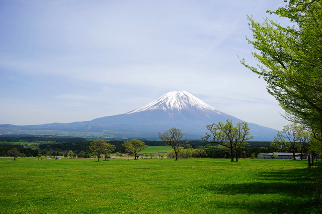 photo by i-flower