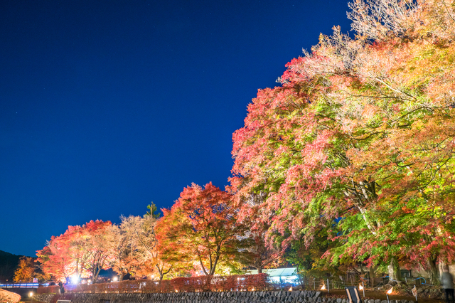 photo by まちゃー