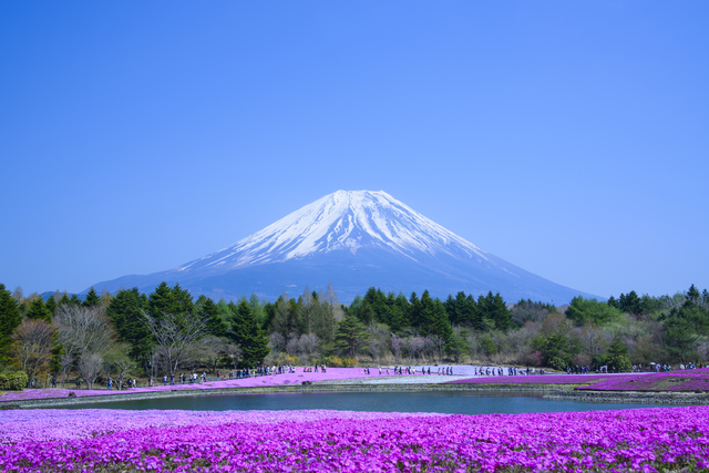 photo by Shyn