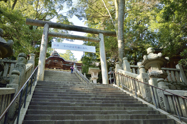 photo by ふくいのりすけ
