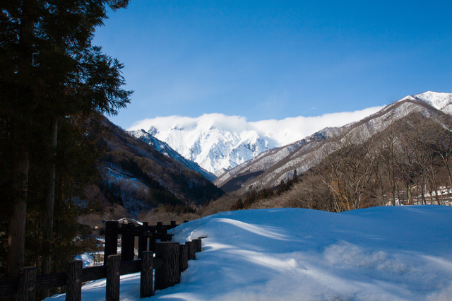 photo by NOV