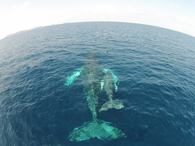 photo by 鵜飼俊宏