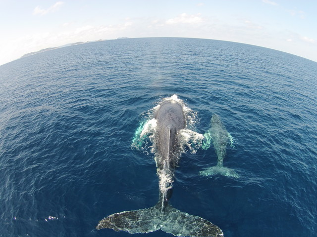 photo by 鵜飼俊宏