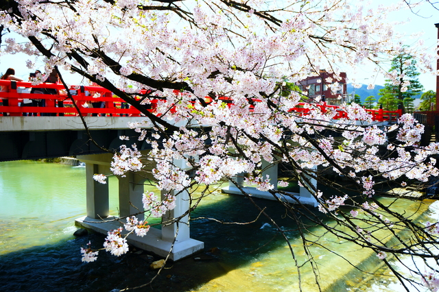 photo by zero one