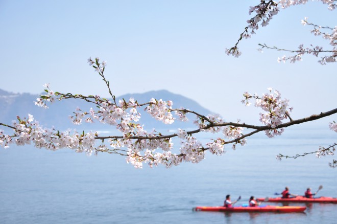 photo by totto