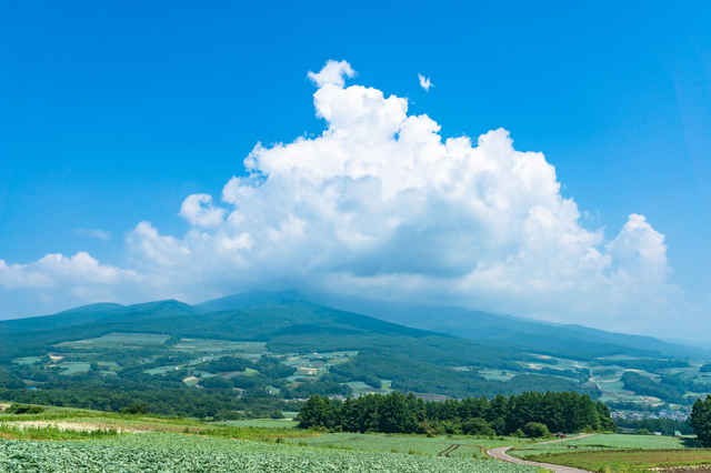 photo by まちゃー