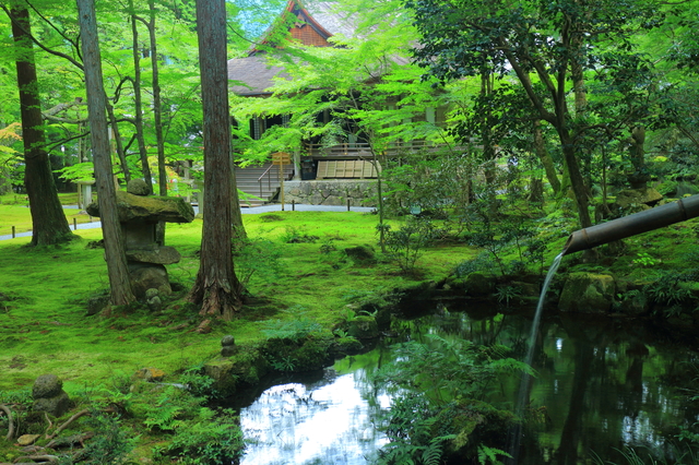 photo by kazukiatuko