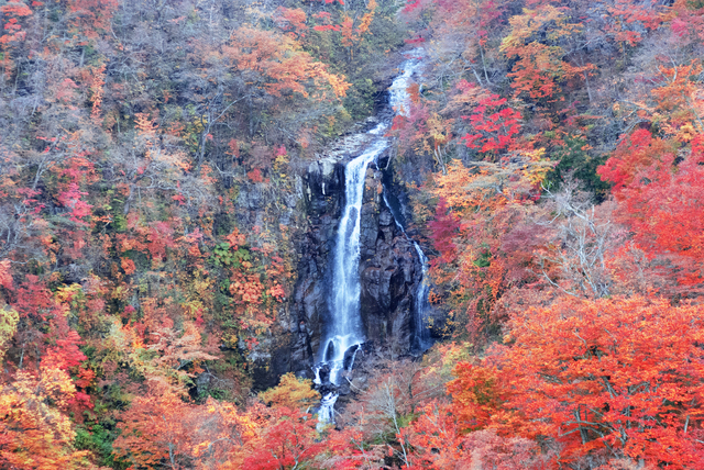 photo by taroujirou