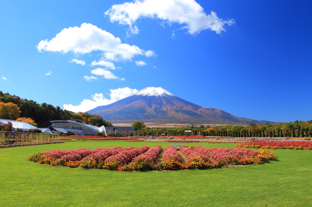 photo by kazukiatuko