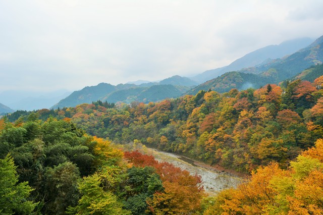 photo by YoriKei