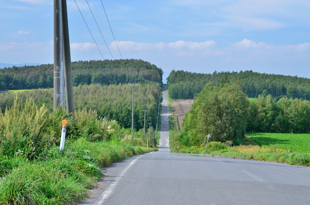 photo by KimKou