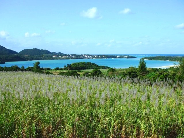 photo by Tatsuki Taka