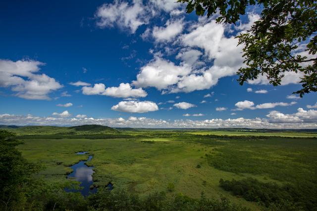 photo by newtonling