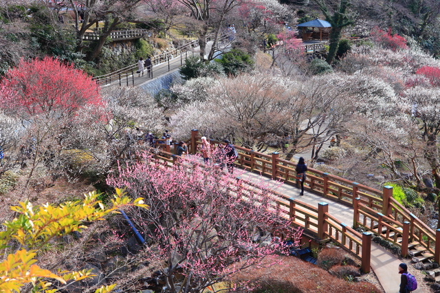 photo by kazukiatuko