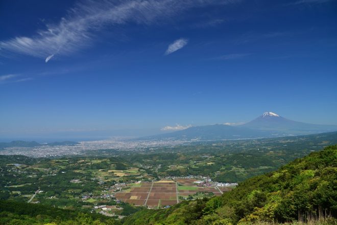 photo by Yoshitaka