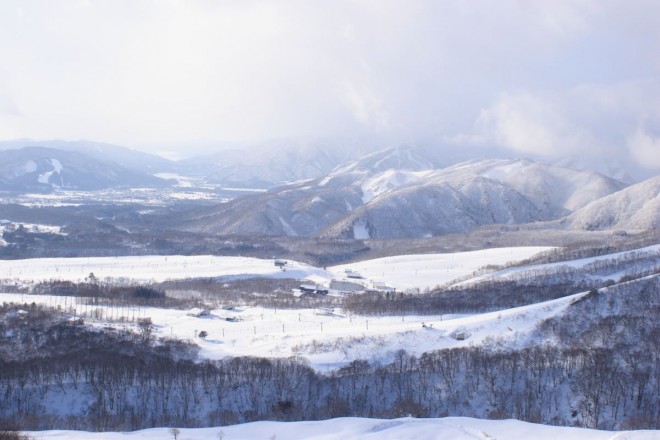 photo by Mochio
