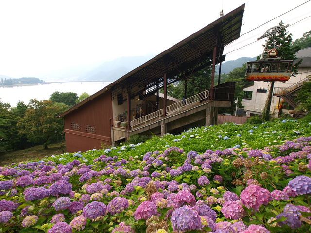 photo by ひでロン