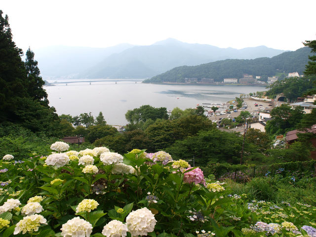 photo by ひでロン