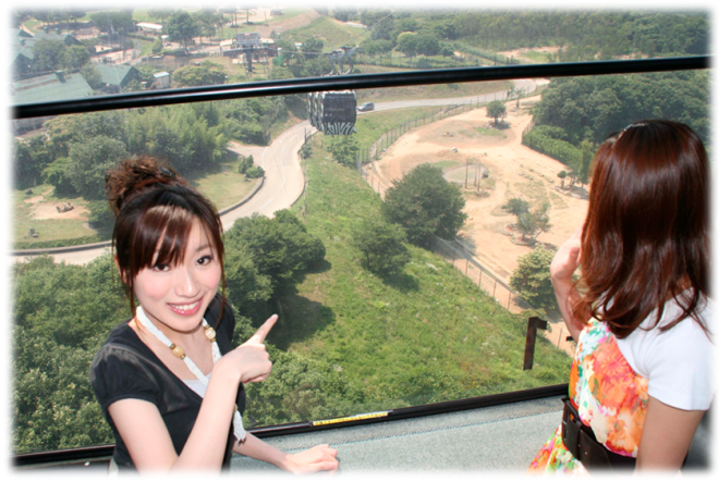 photo by 姫路セントラルパーク